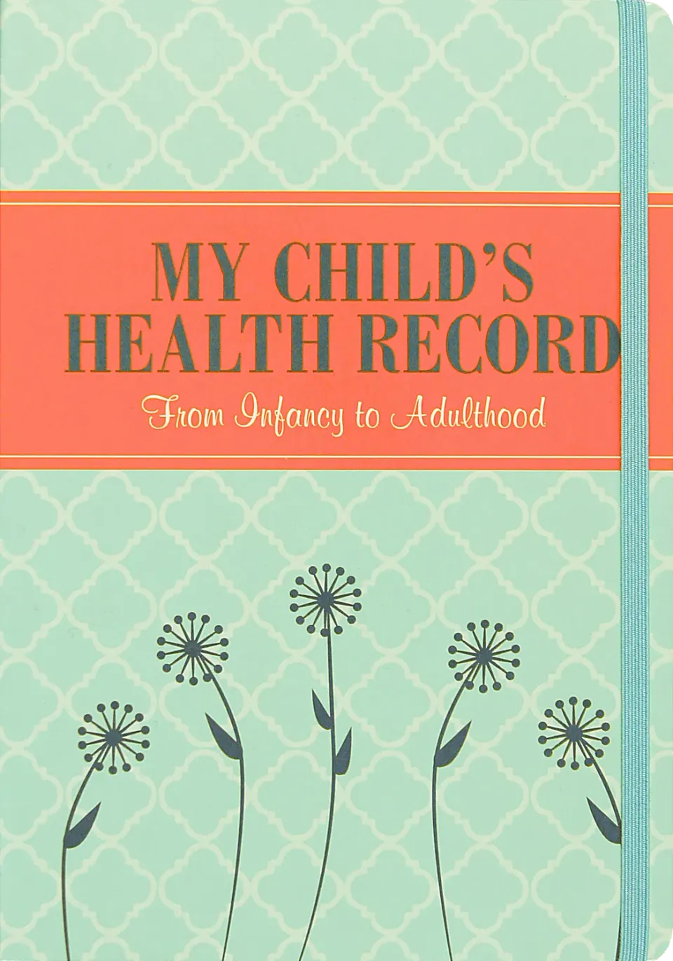 Peter Pauper Press My Child's Health Record helsejournal innbundet