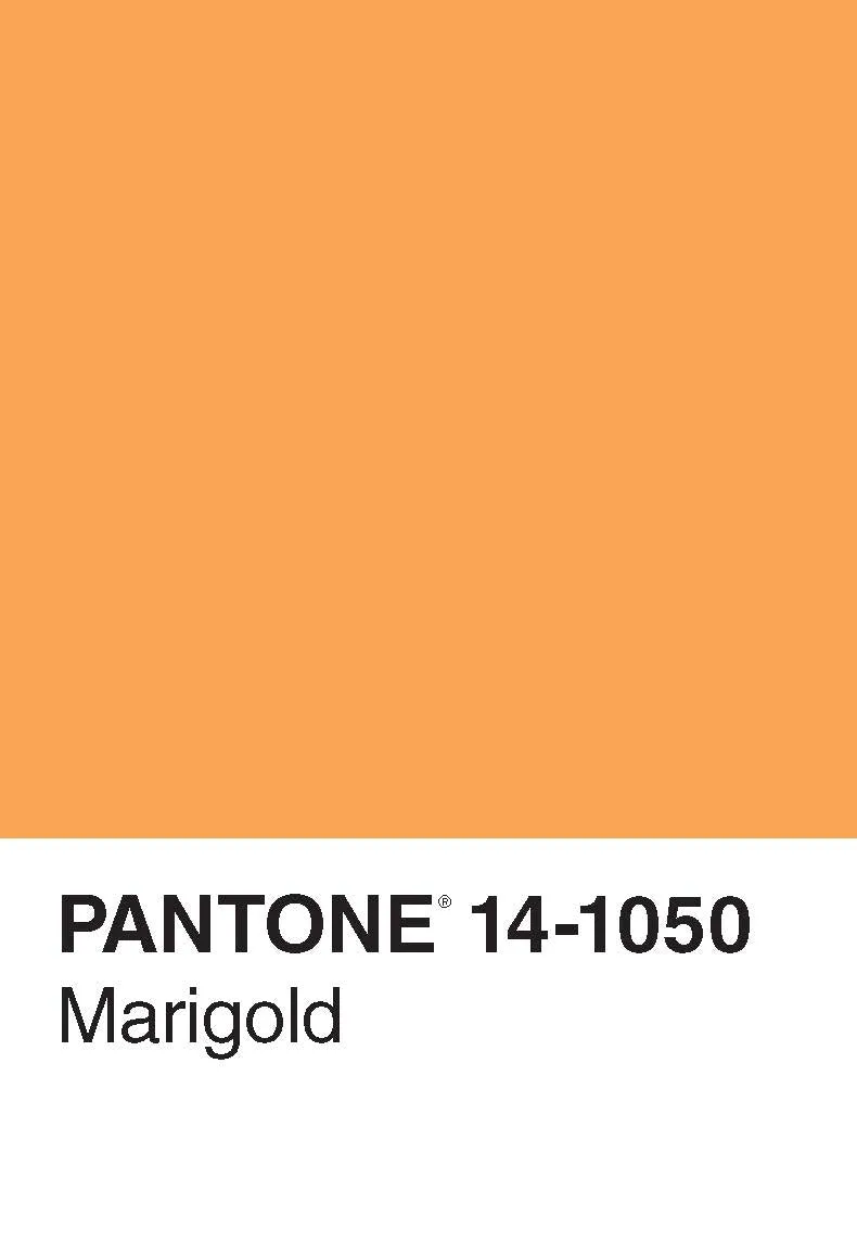 Pantone 50 Postcards postkortbok fargekart gave