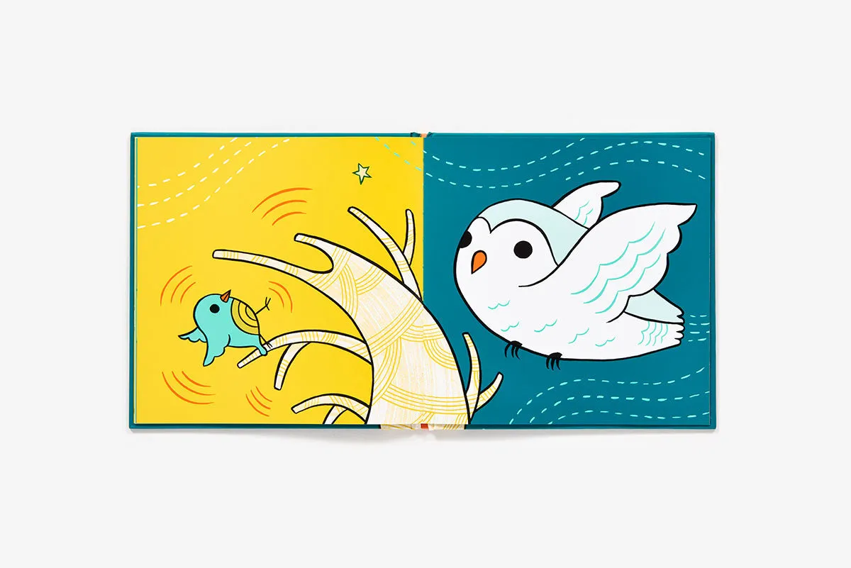 Abrams Balance the Birds innbundet bildebok
