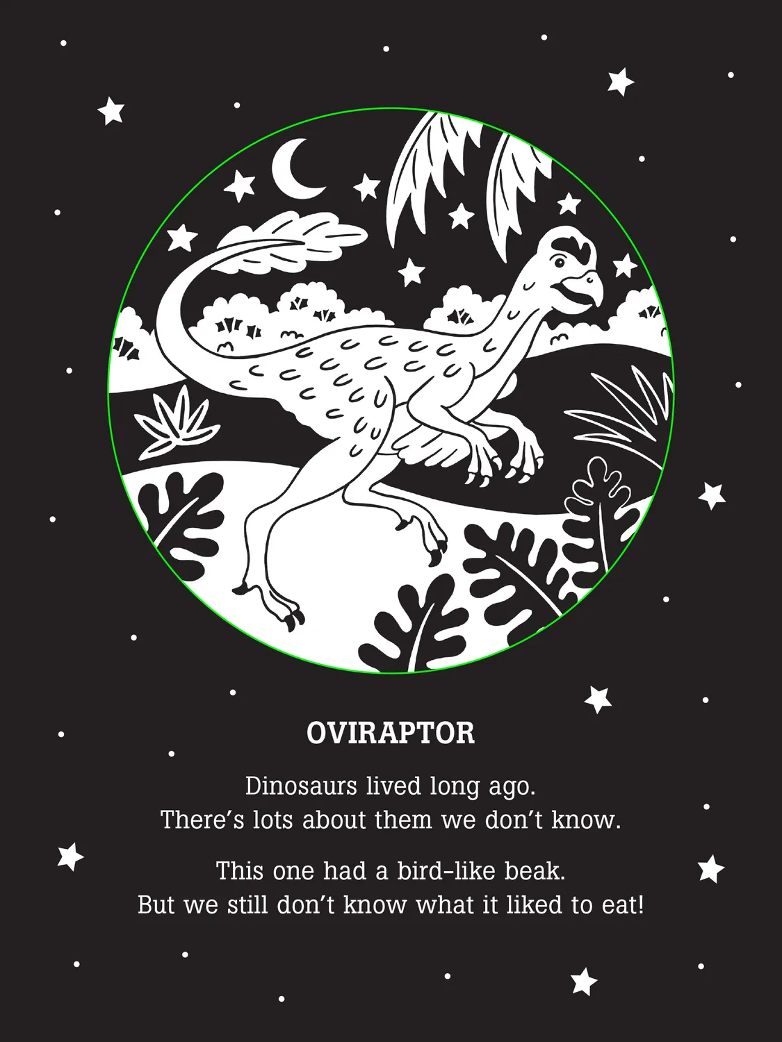 Peter Pauper Press Dinos After Dark barnebok med skyggebilder
