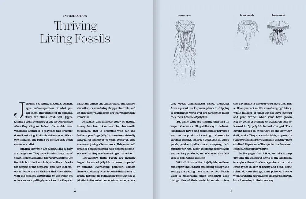 Abrams Shapeshifters The Wondrous World of Jellyfish bok maneter