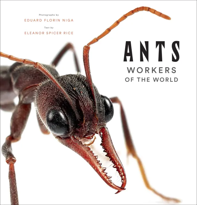 Abrams Ants Workers of the World innbundet bok maur