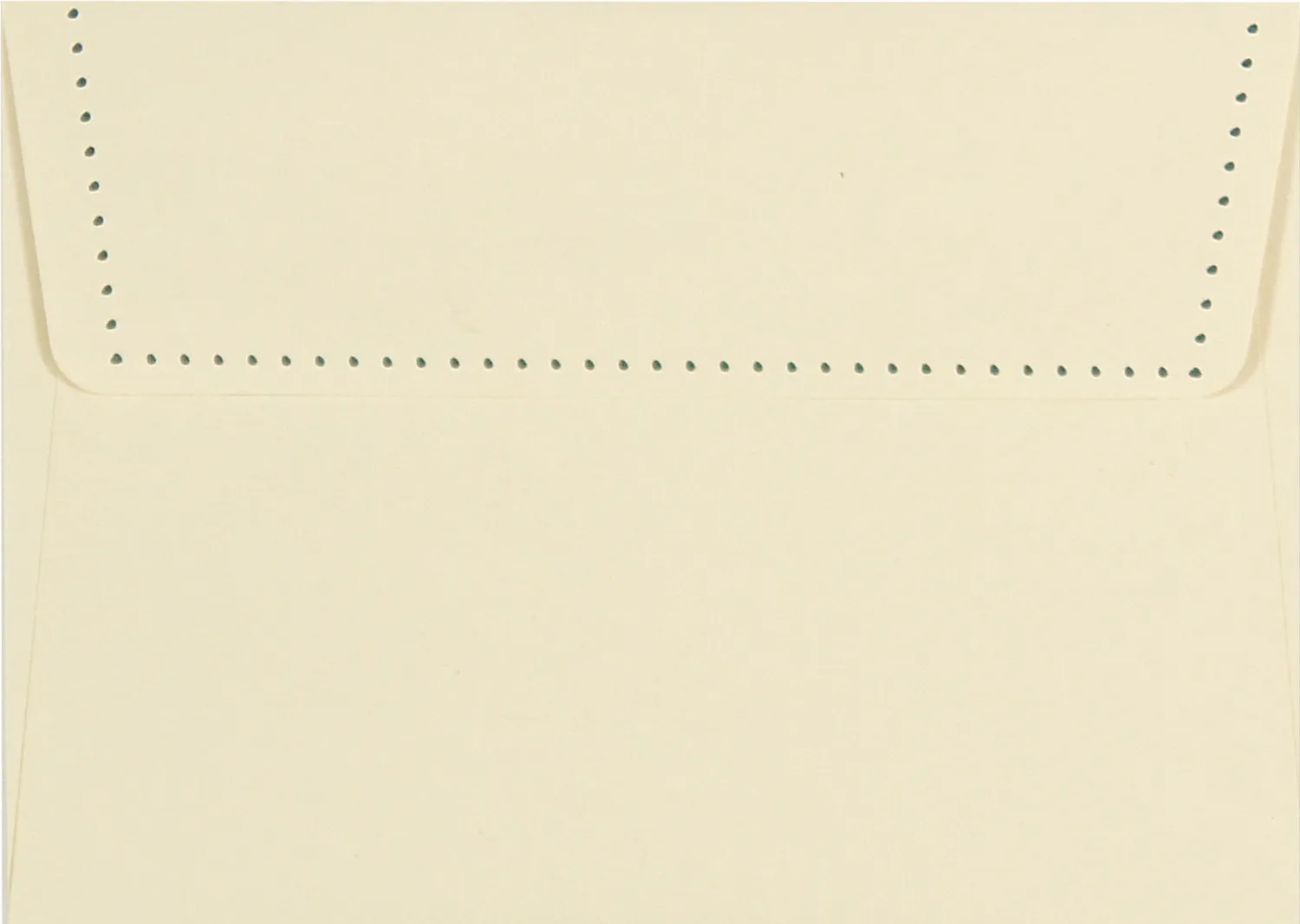 Peter Pauper Press Typewriter notatkort 14 stk blanke