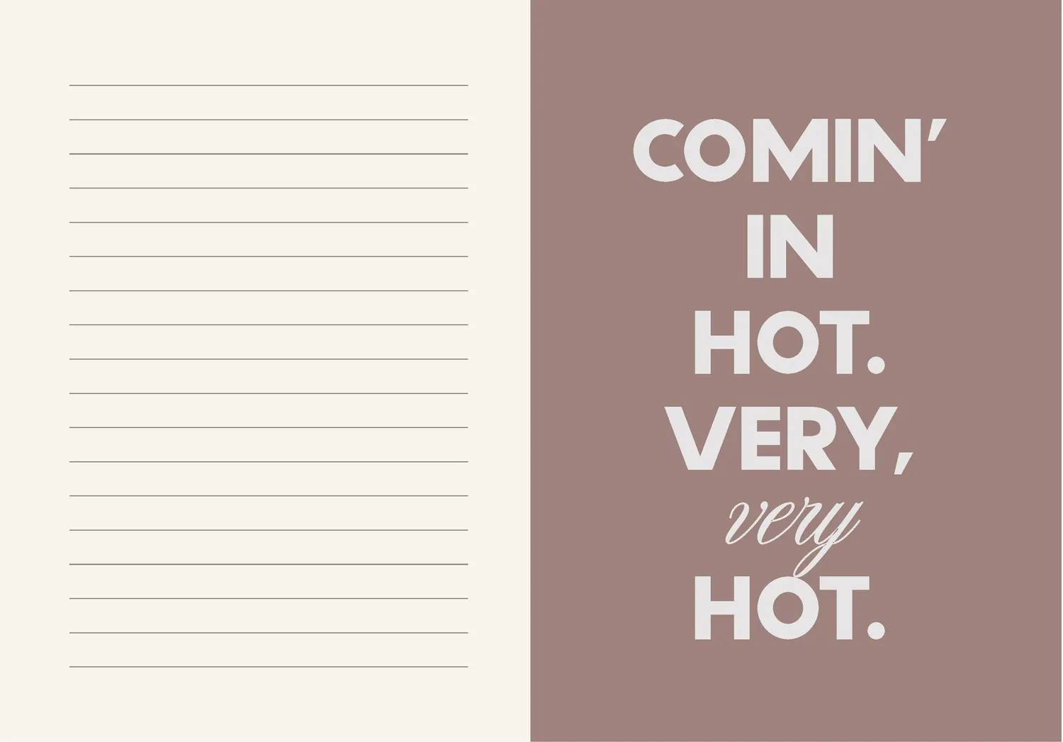 Chronicle F*ck Menopause journal notatbok humor gave