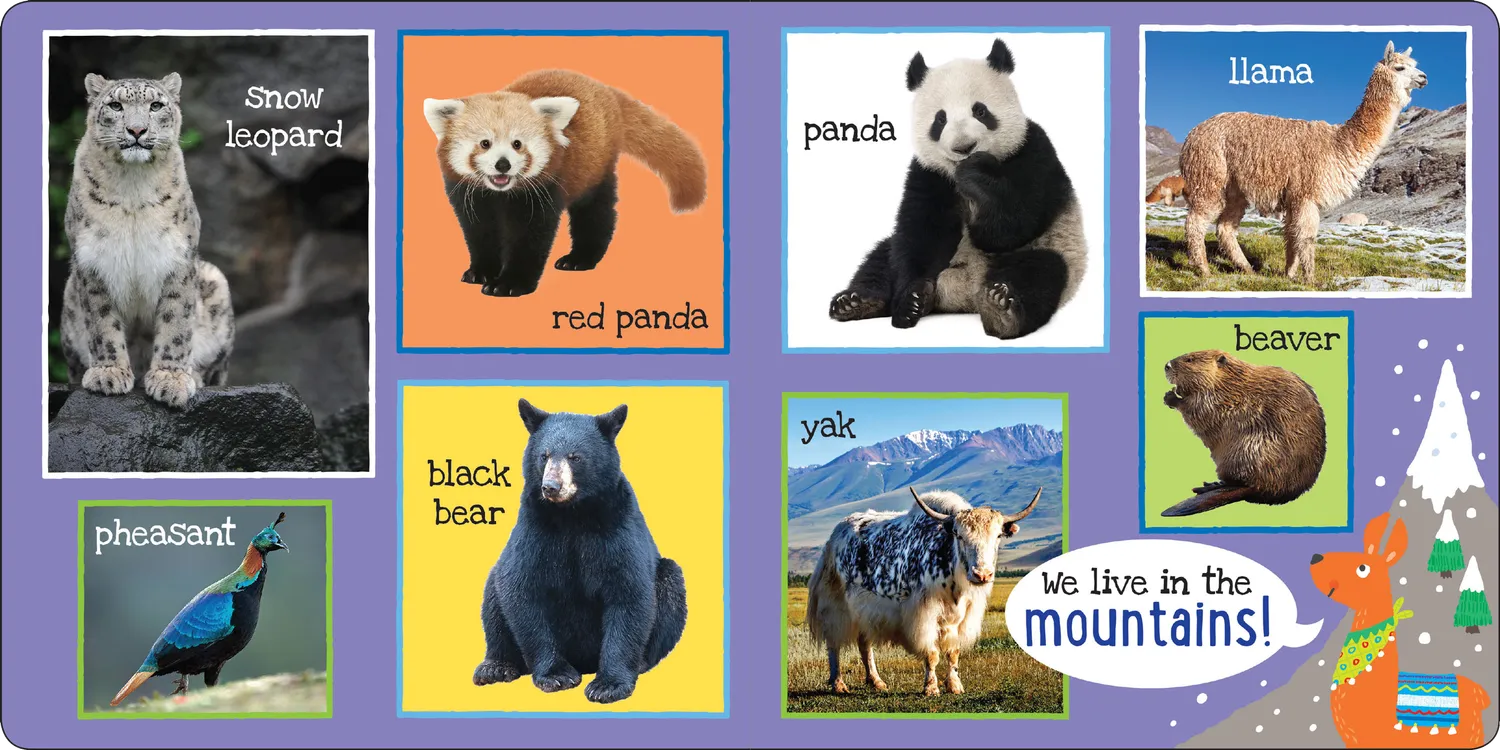 Peter Pauper Press My First 101 Animals pekebok