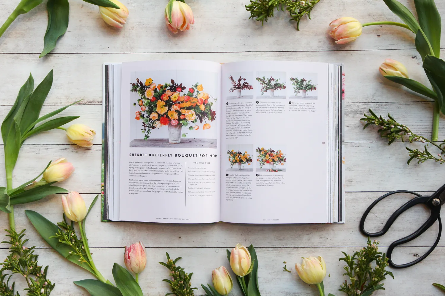 Abrams and Chronicle Floret Farm's Cut Flower Garden blomsterbok