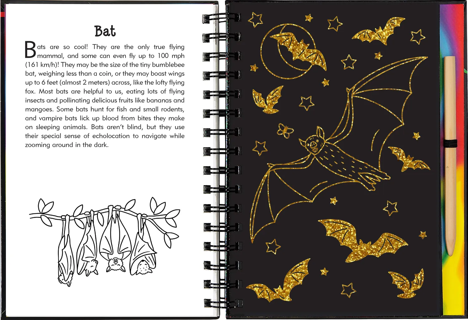 Scratch and Sketch Nocturnal Animals skrapebok barn