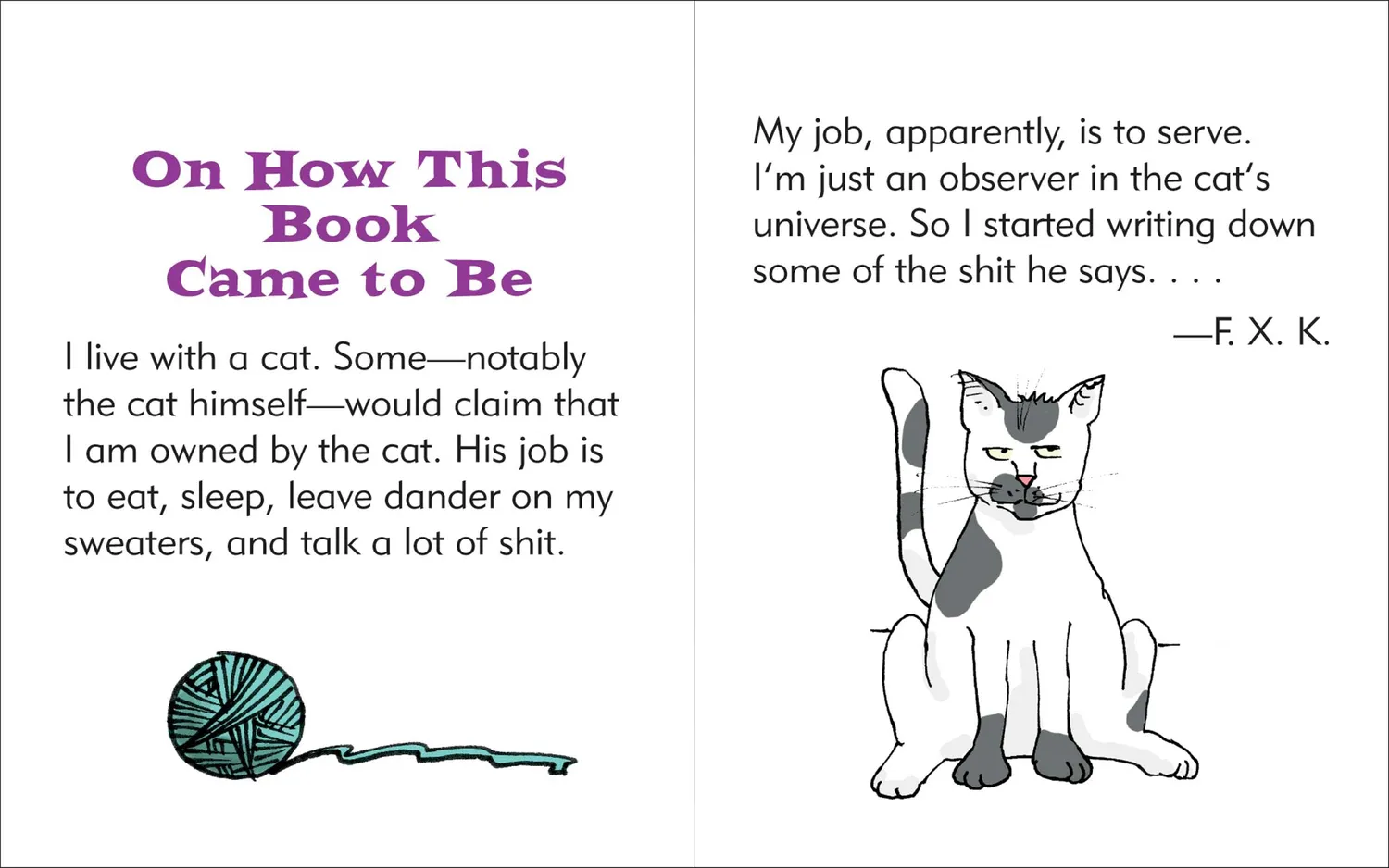 Peter Pauper Press Sh*t My Cat Says minibok katt humor