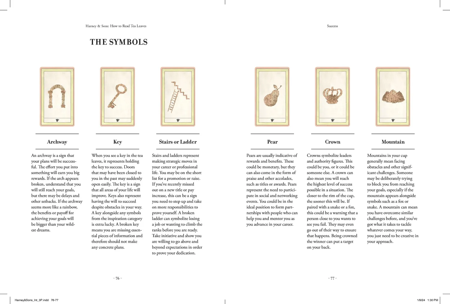 Harney & Sons How to Read Tea Leaves kortstokk guidebok