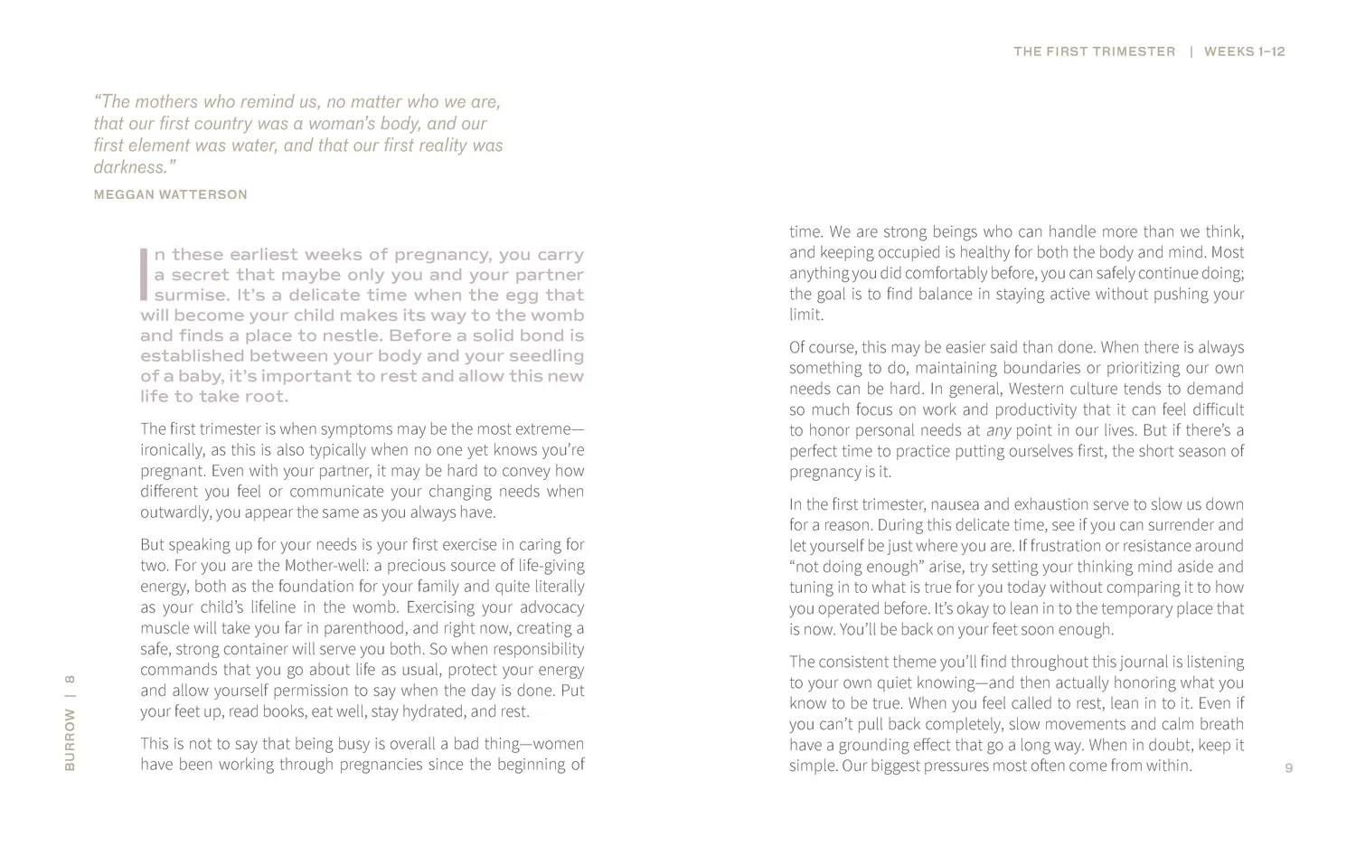 9 Months of Wonder gravid dagbok journal mor