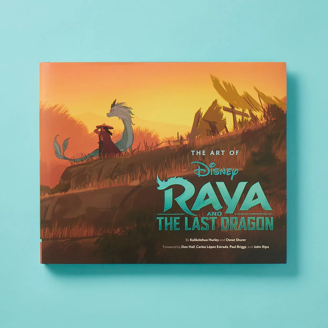 Disney Raya and the Last Dragon kunstbok innbundet