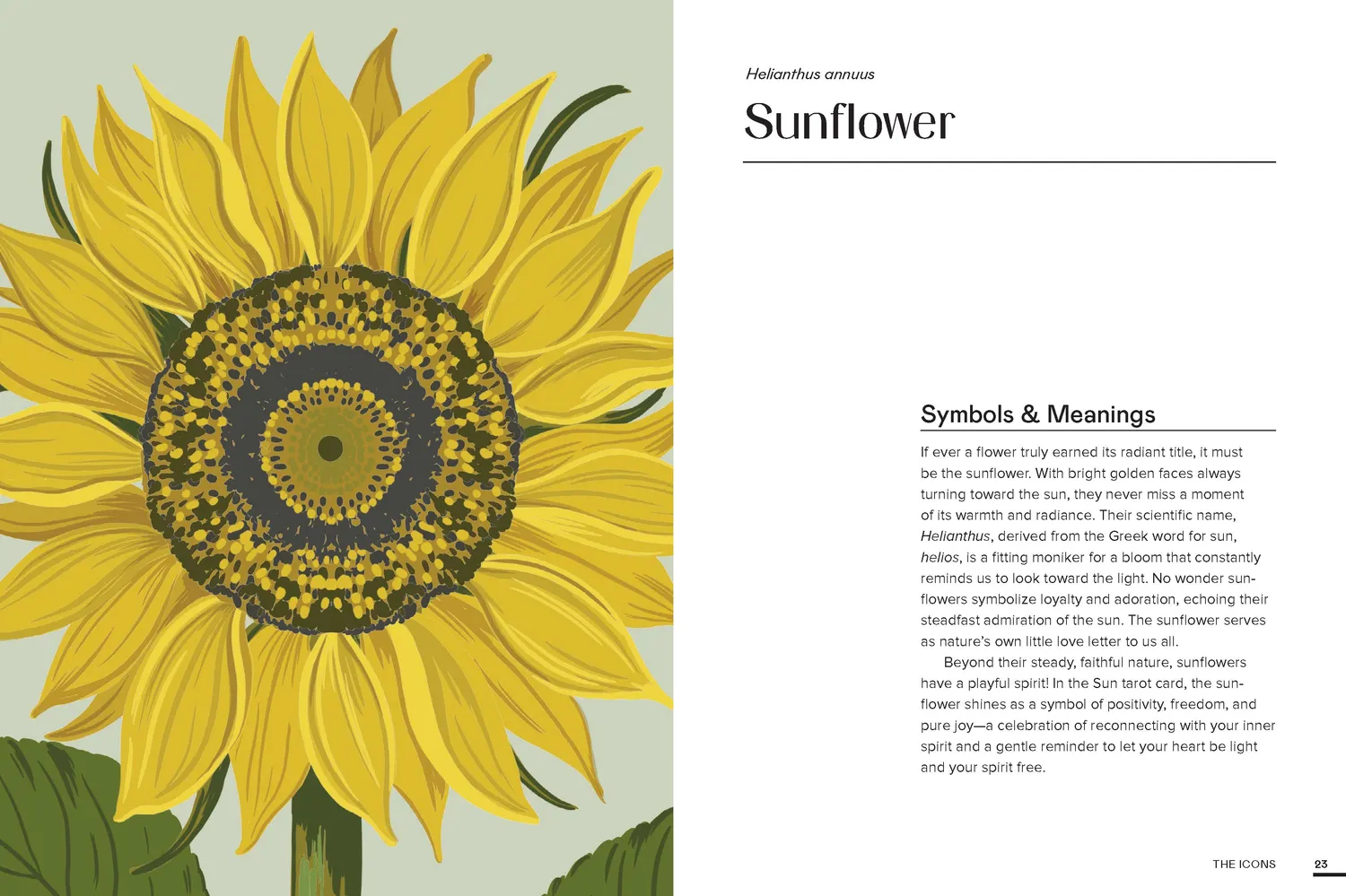 Floraphile Almanac blomsterbok innbundet 50 arter