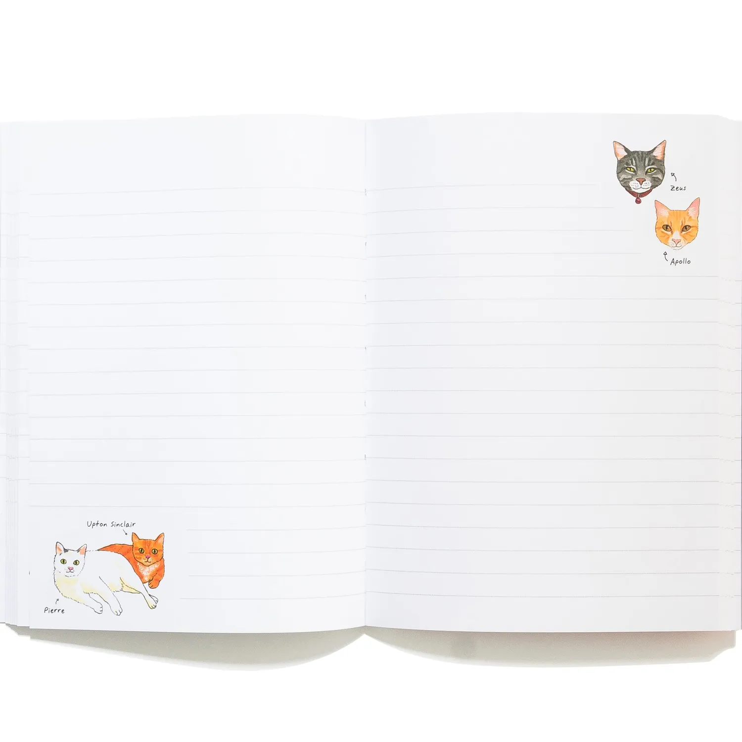 Bibliophile Bookstore Cats flexi journal notatbok katter