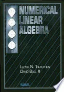 Trefethen Numerical Linear Algebra pocket pent brukt
