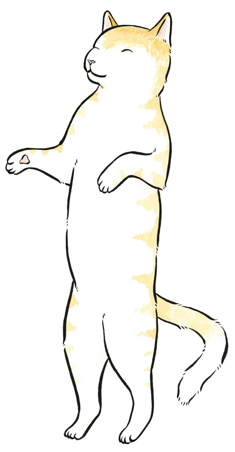 Chronicle Books Invisible Cat Activities tegnebok pocket