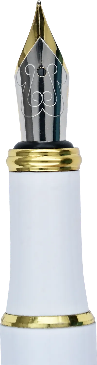 Peter Pauper Press Amalfi Lemons fyllepenn fin 0,5 mm