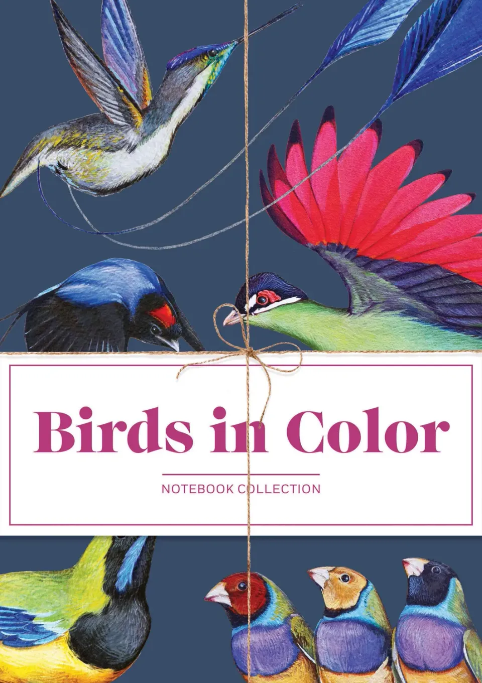 Abrams Birds in Color notatbøker 3-pakning fuglemotiv