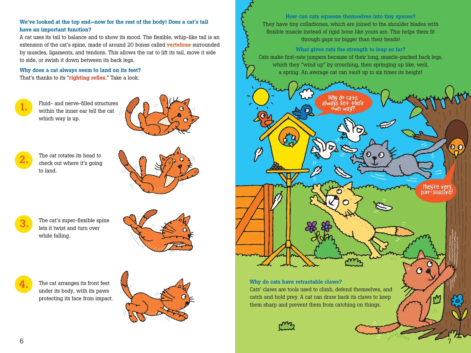 Peter Pauper Press 100 Questions about Cats barnebok katt