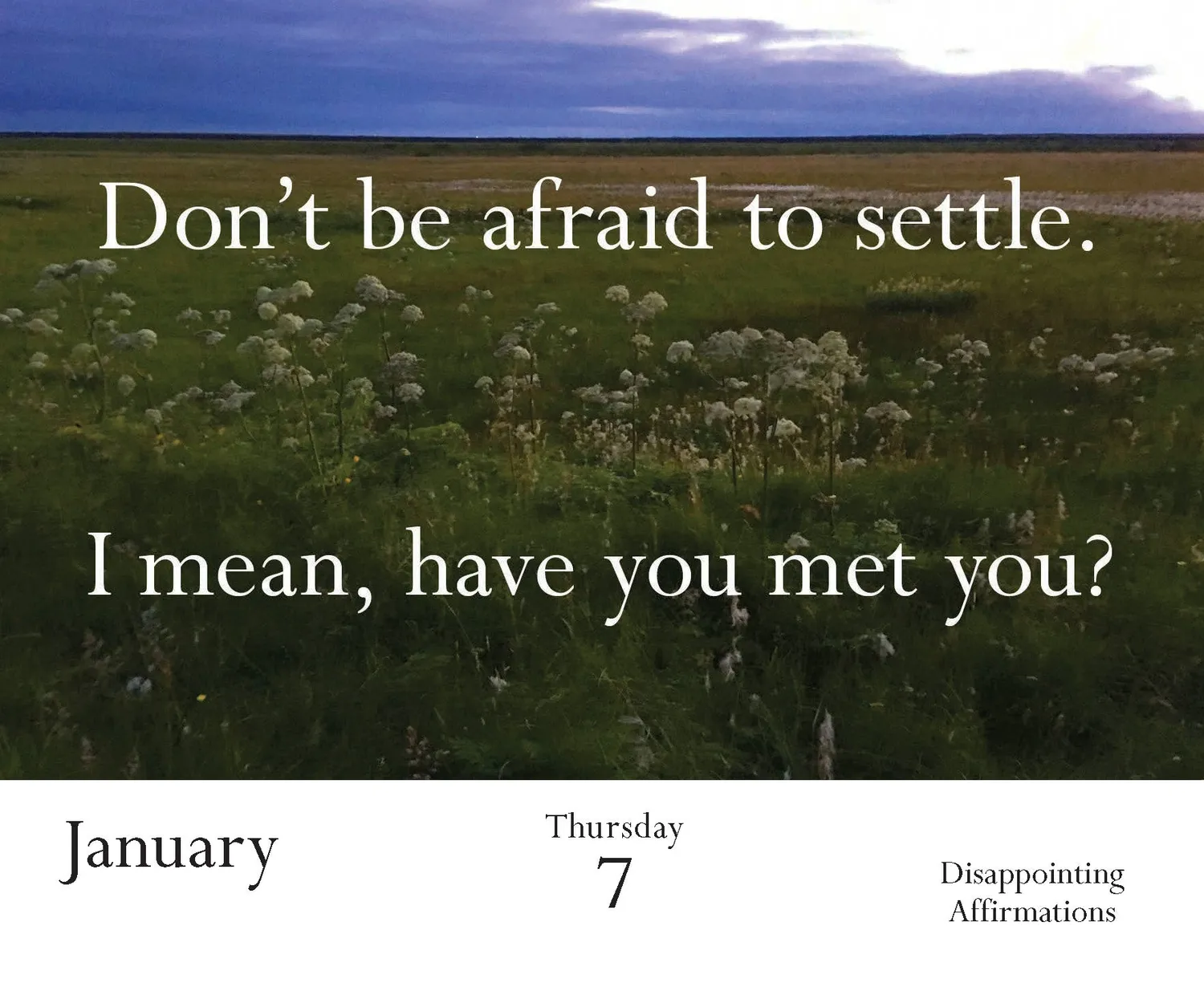Disappointing Affirmations 2027 Daily Calendar dagskalender