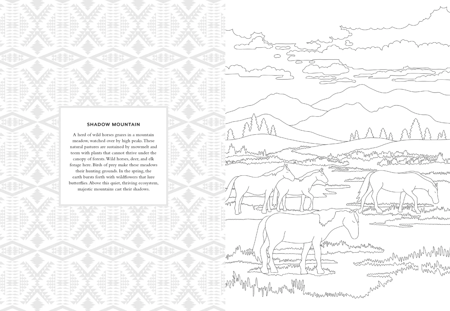 Chronicle Books Pendleton Coloring Book fargeleggingsbok