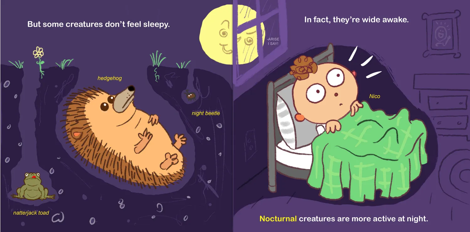 Familius Nocturnal Nico innbundet bildebok leggetid