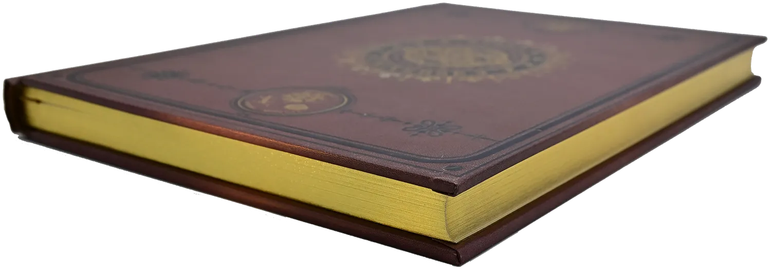 Peter Pauper Press The Universe Journal notatbok gullsnitt