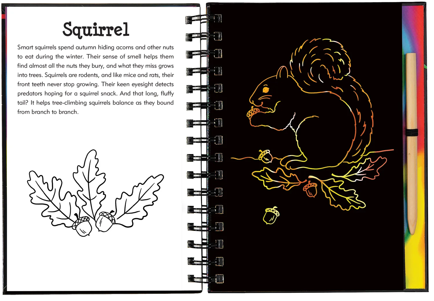 Peter Pauper Press Scratch and Sketch Forest Friends skrapebok skogdyr