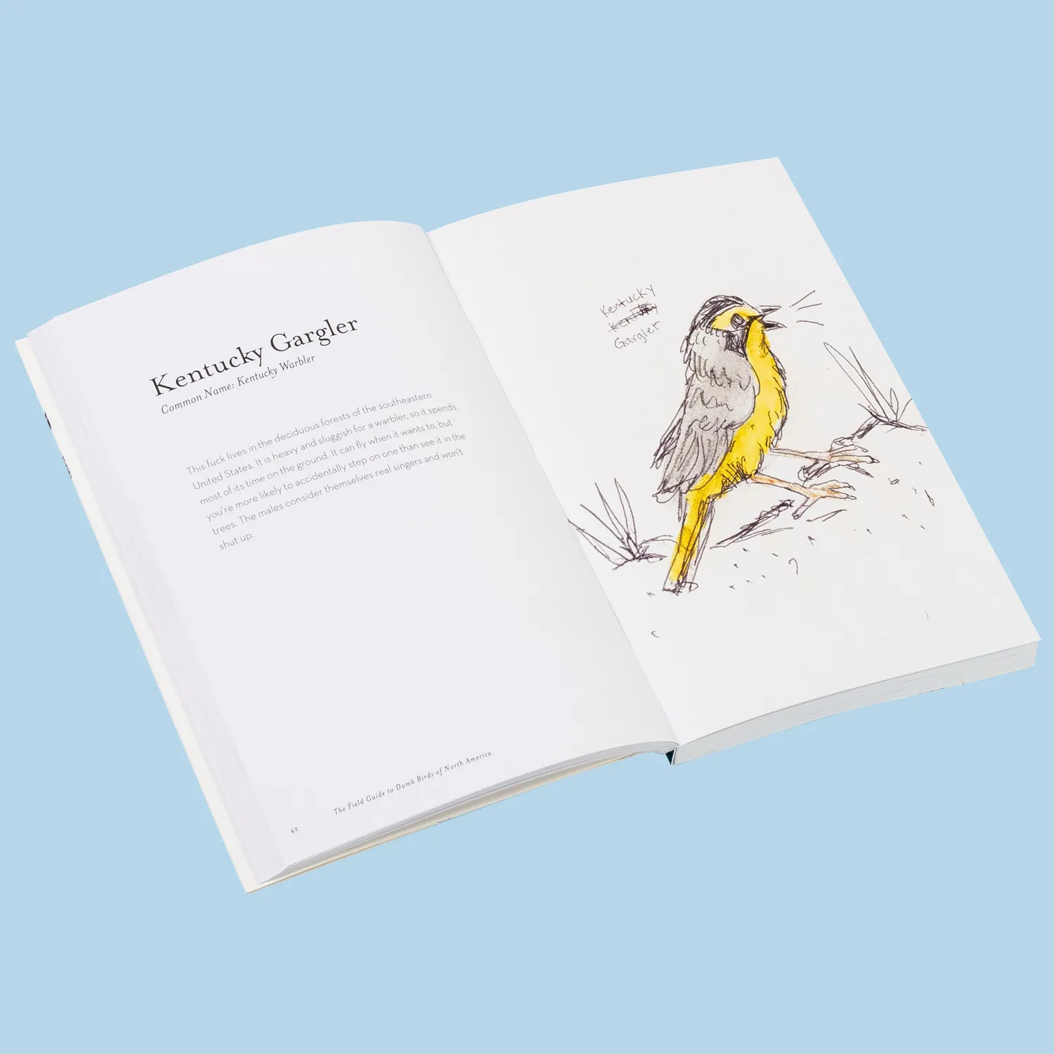 Chronicle Field Guide to Dumb Birds of America pocket humor