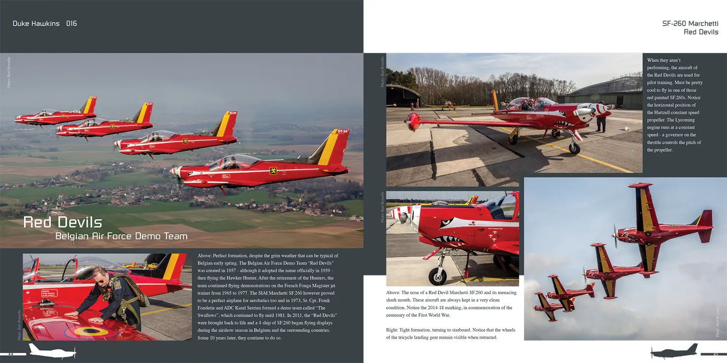 Duke Hawkins Marchetti SF.260 bok walkaround