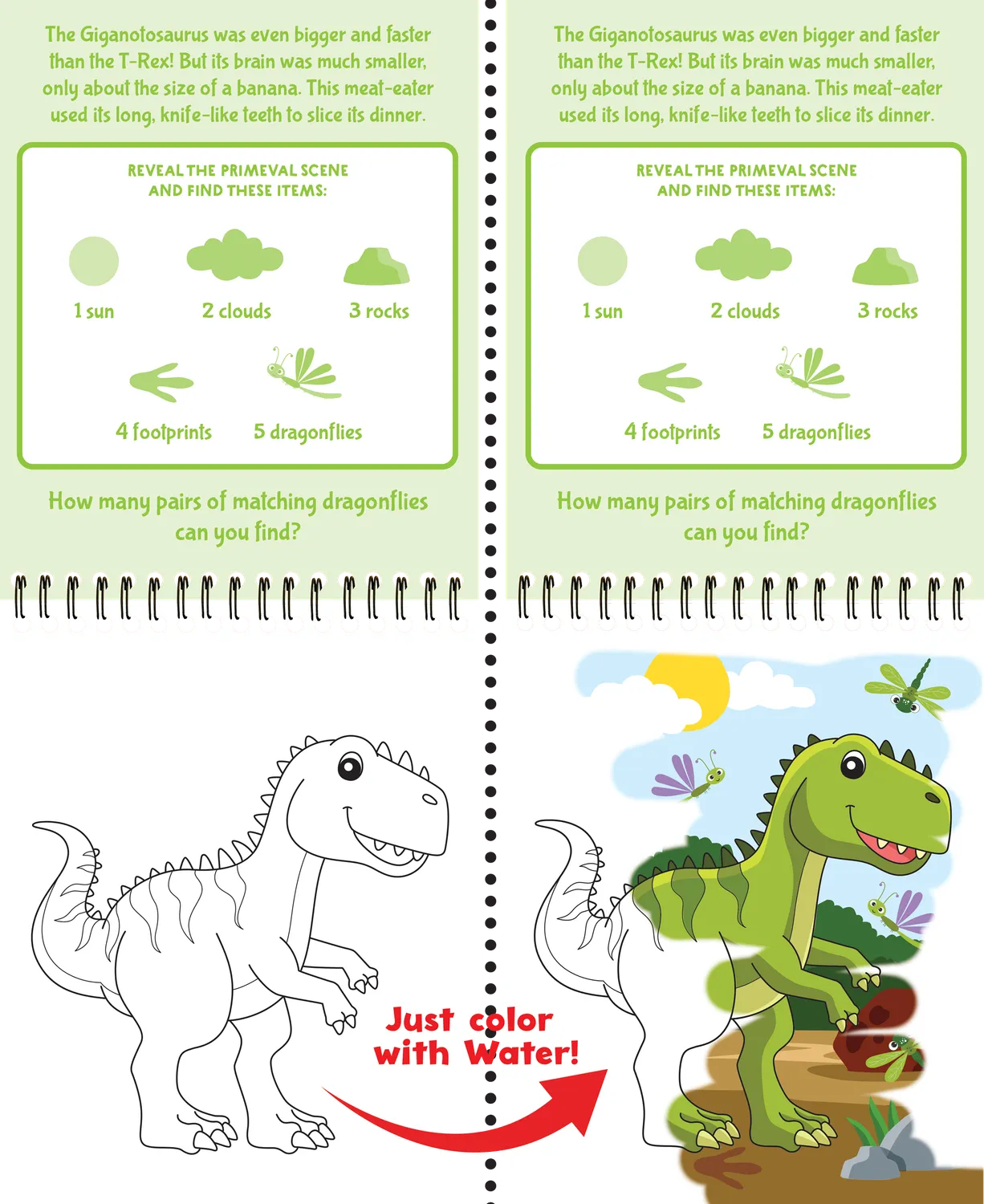 Color with Water Dinosaurs vannmalebok 4 tavler vannpenn