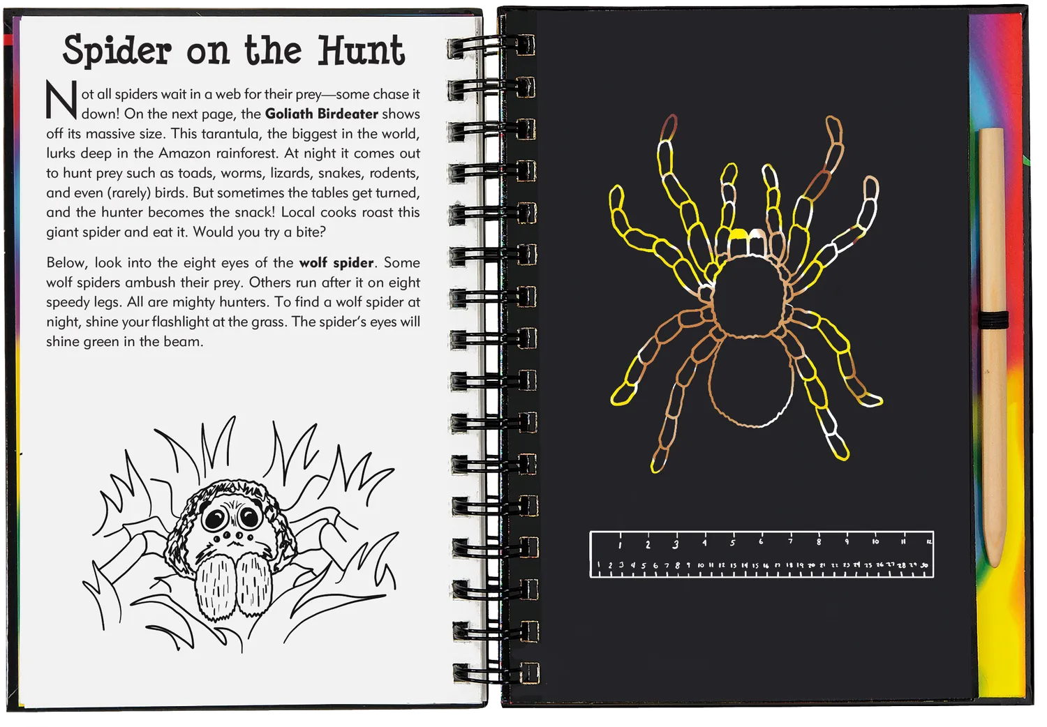 Scratch and Sketch Bugs! skrapebok insekter 64 sider