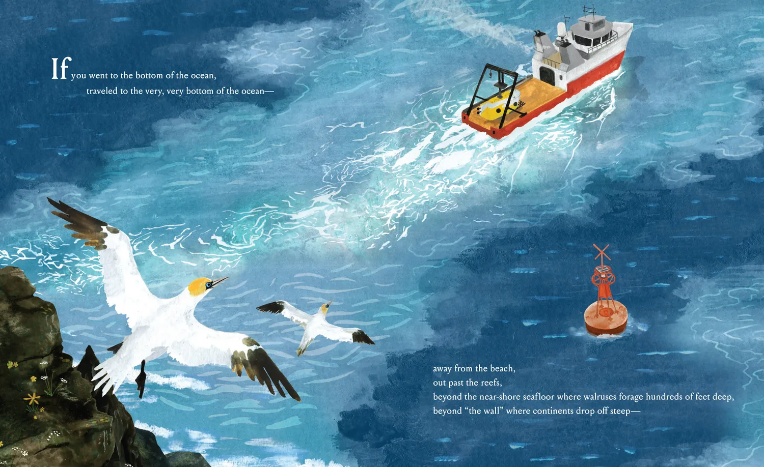Abrams and Chronicle Bottom of the Ocean barnebok innbundet