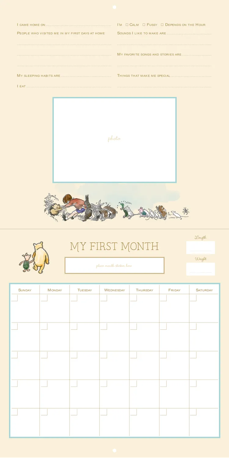 Peter Pauper Press Winnie-the-Pooh babykalender første år