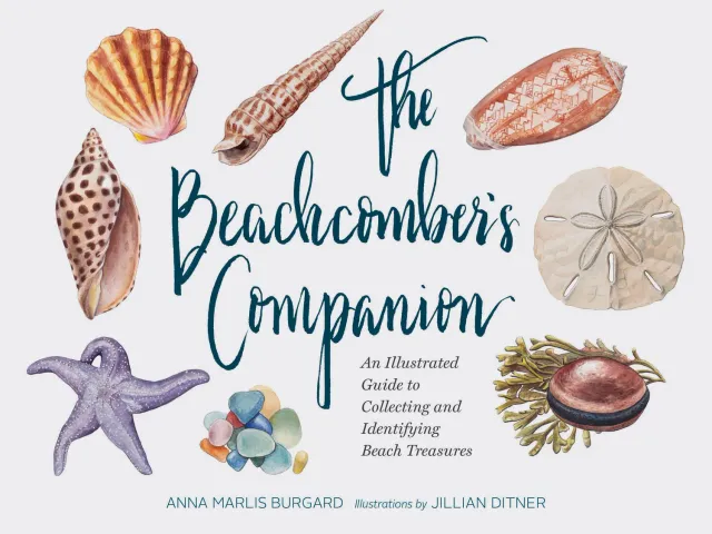 Chronicle Books Beachcomber's Companion illustrert bok innbundet strandskatter