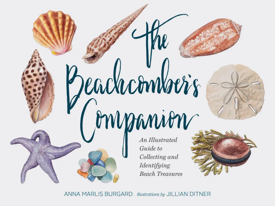 Chronicle Beachcomber's Companion håndbok skjell