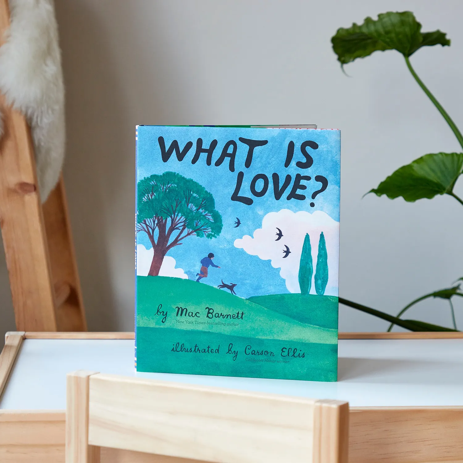 Abrams and Chronicle What Is Love? bildebok innbundet