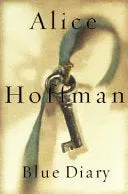 Alice Hoffman Blue Diary bok engelsk pent brukt