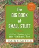 Bokia The Big Book of Small Stuff bok brukt engelsk Carlson