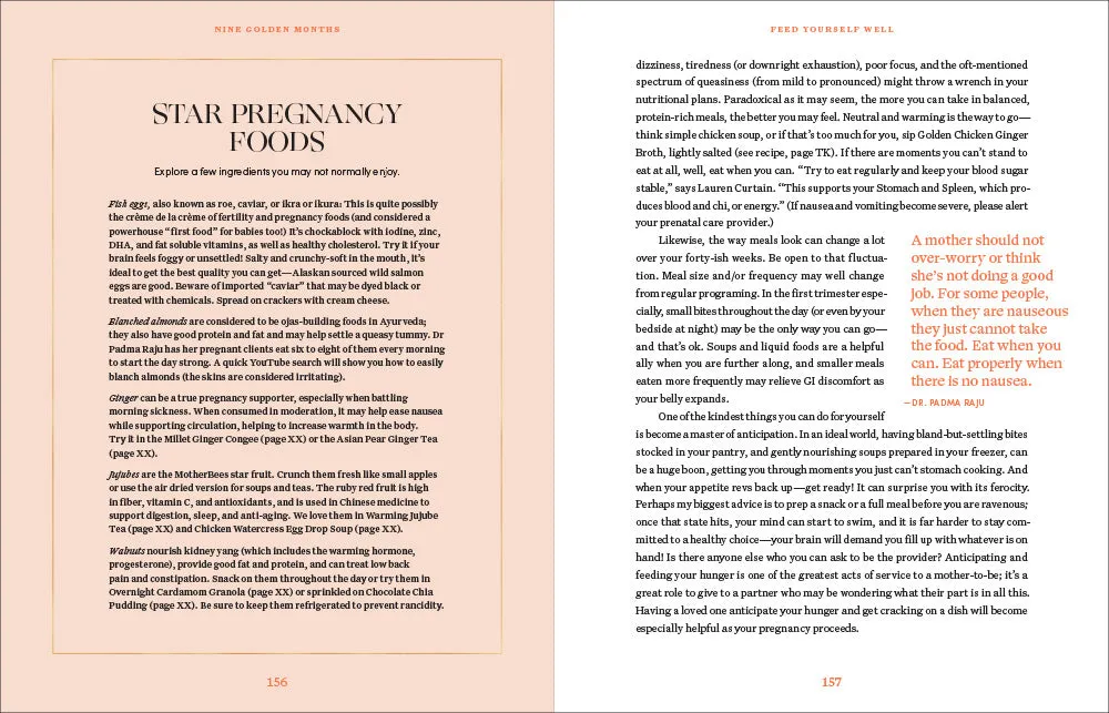 Abrams and Chronicle Nine Golden Months innbundet gravidbok