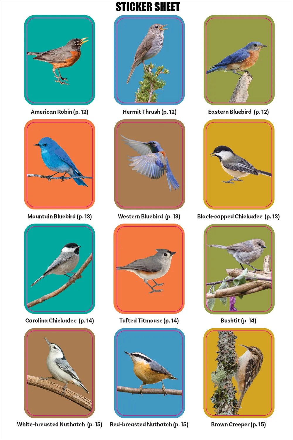 Peter Pauper Press Birder's Logbook klistremerkebok fugl