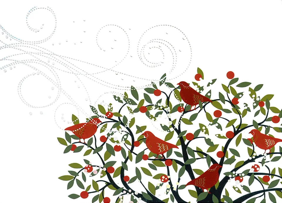 Peter Pauper Press Festive Birds julekort 20 stk eske