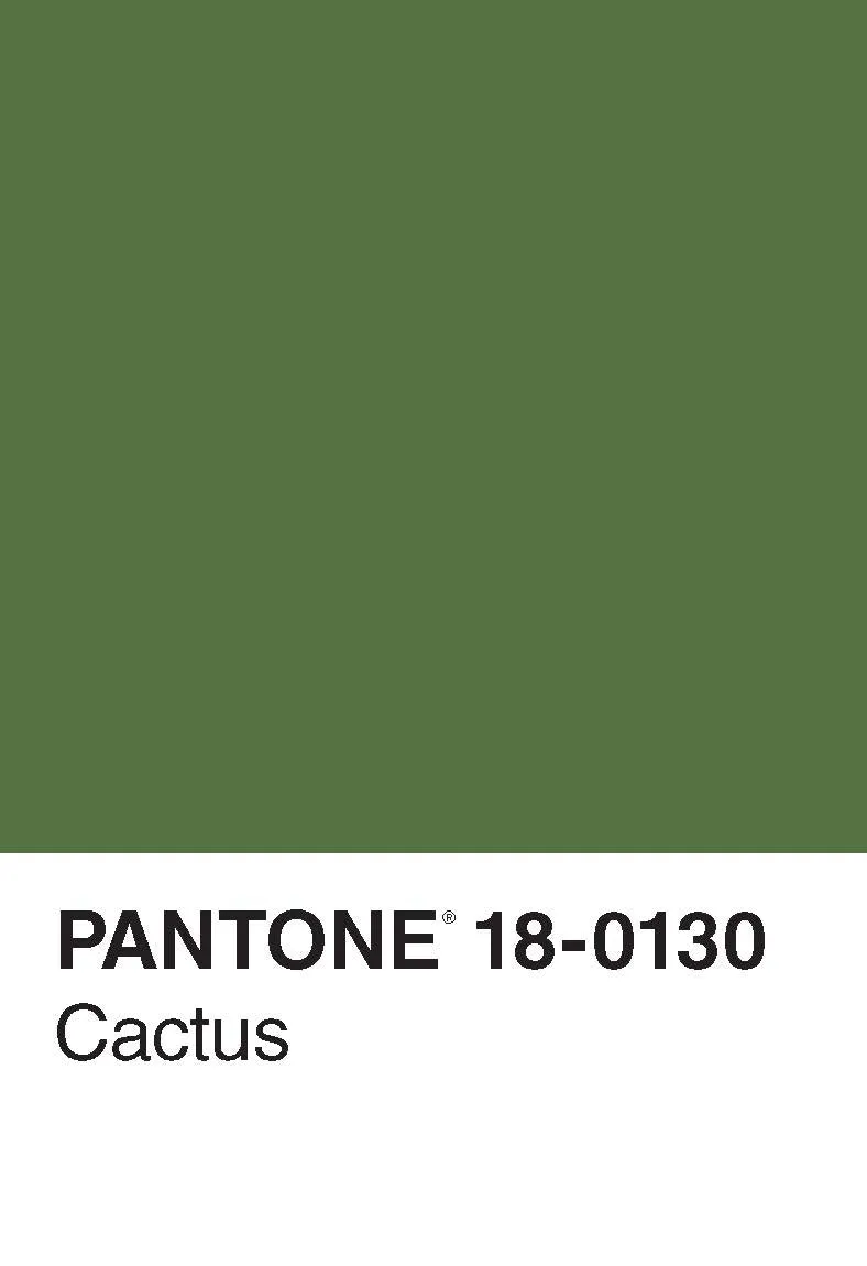 Pantone 50 Postcards postkortbok fargekart gave