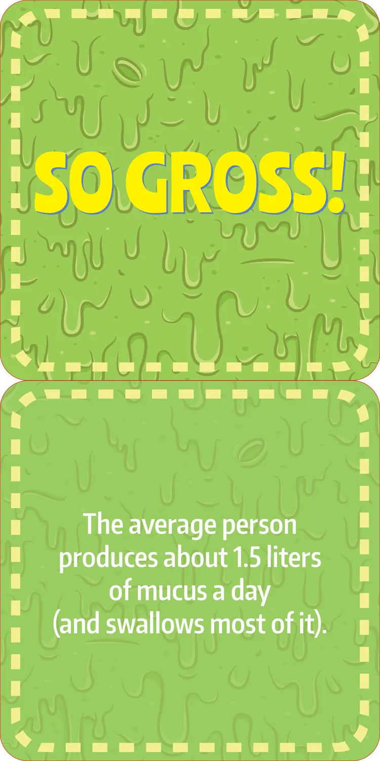 Peter Pauper Press Gross Facts Lunch Box Notes matpakkelapper 60 kort