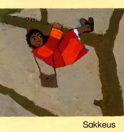 Bokia Sakkeus innbundet bildebok pent brukt bibel