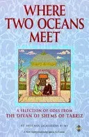 Bokia Where Two Oceans Meet bok pent brukt Rumi