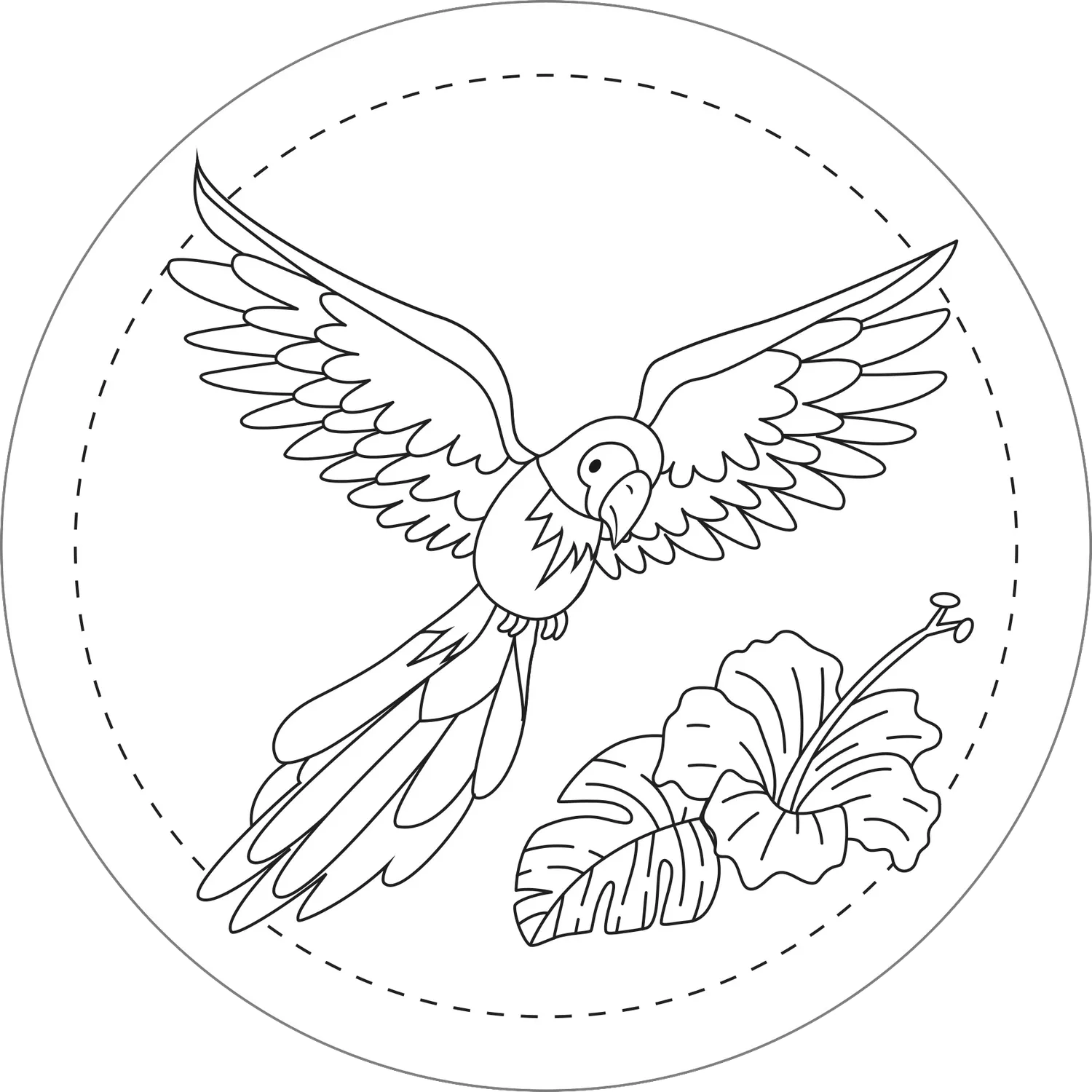 Peter Pauper Press Birds strykemønster broderi fugler 10 motiv