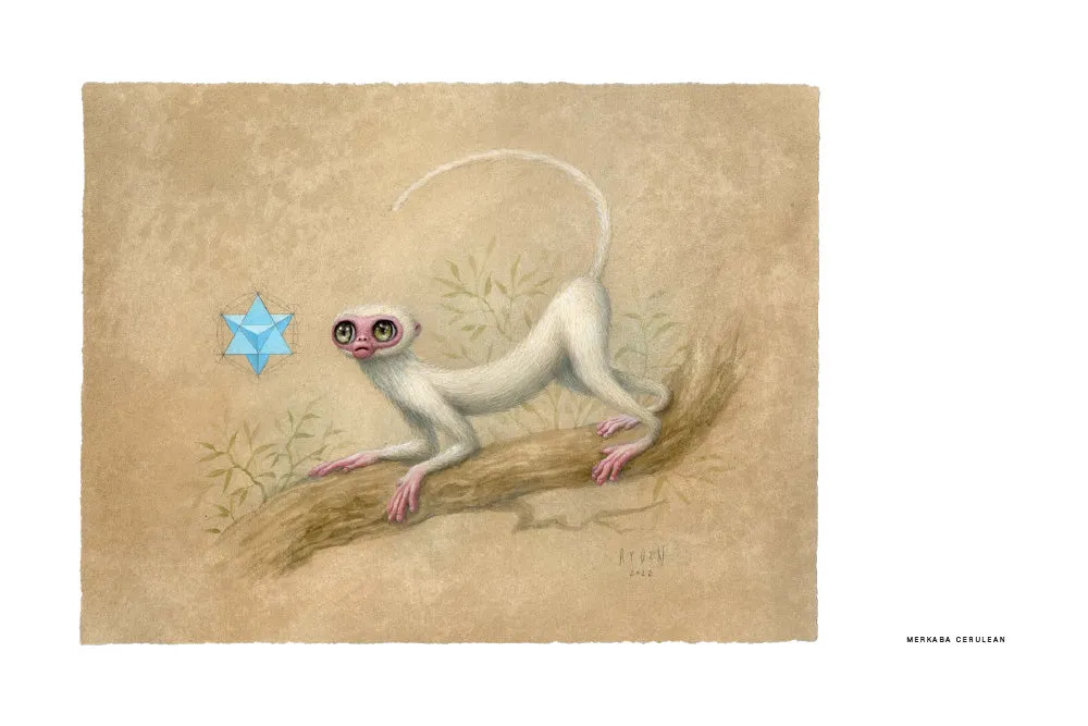 Mark Ryden Yakalina Secrets innbundet kunstbok
