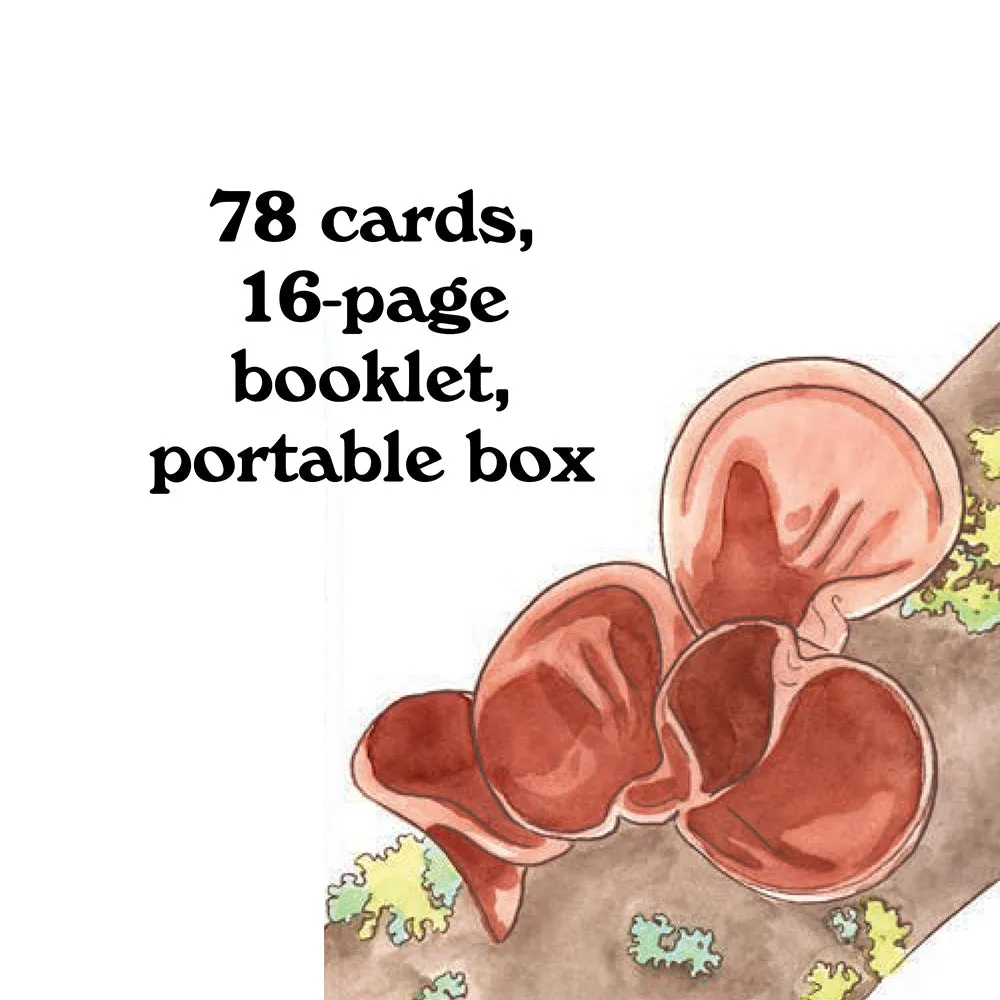 Chronicle Books Mushroom Spotter's Deck kortstokk