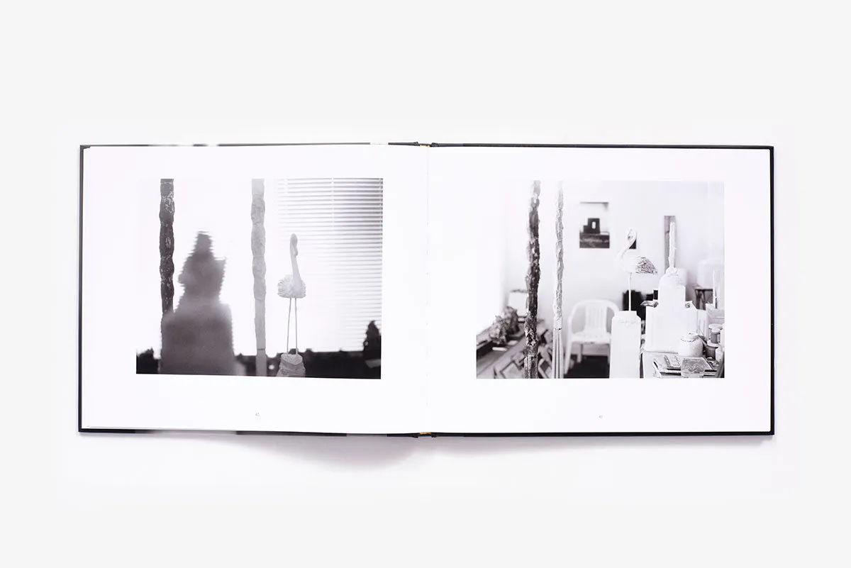Abrams Remembered Light Cy Twombly in Lexington innbundet kunstbok