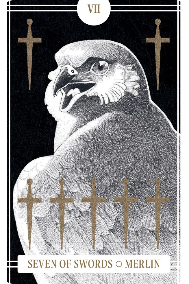 Chronicle Books Avian Tarot tarotkort 78 kort fuglemotiv